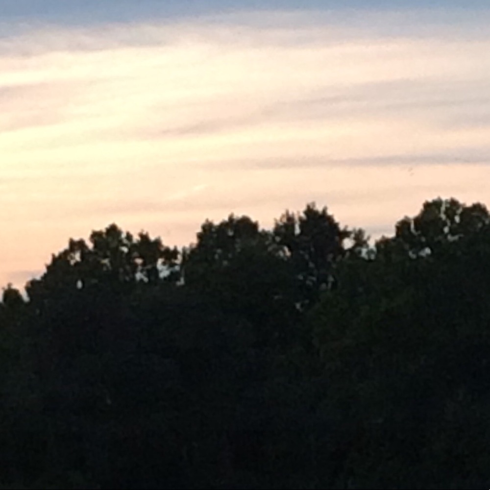 Meet your Posher, Isabelle